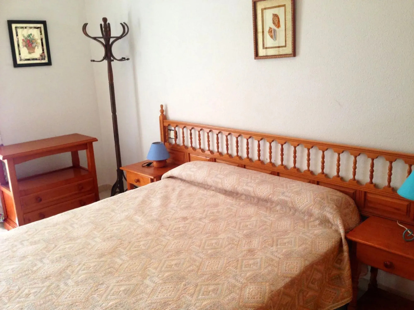 Apartamentos Palma Blanca 3000