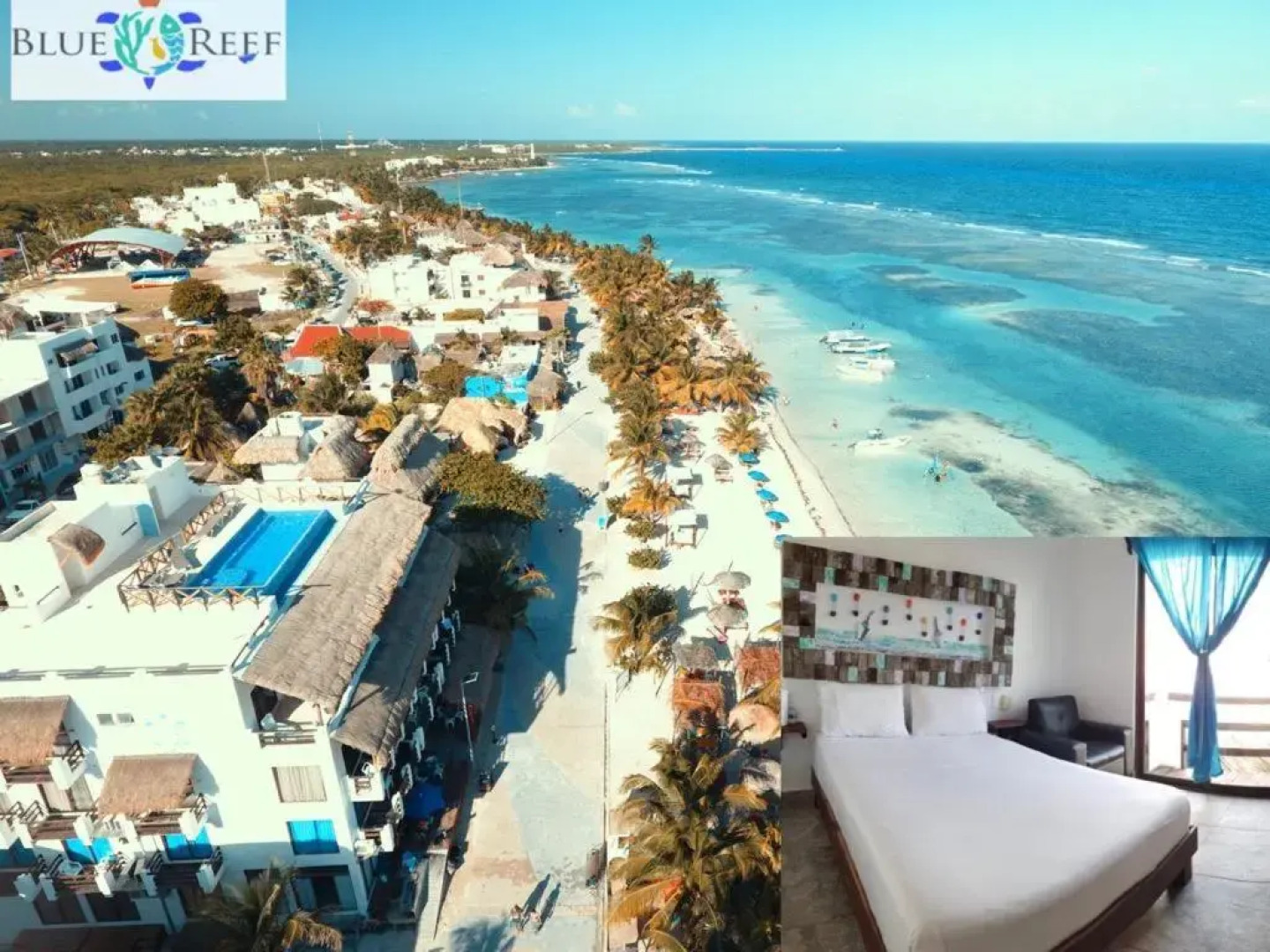 Hotel Blue reef con alberca & frente al mar