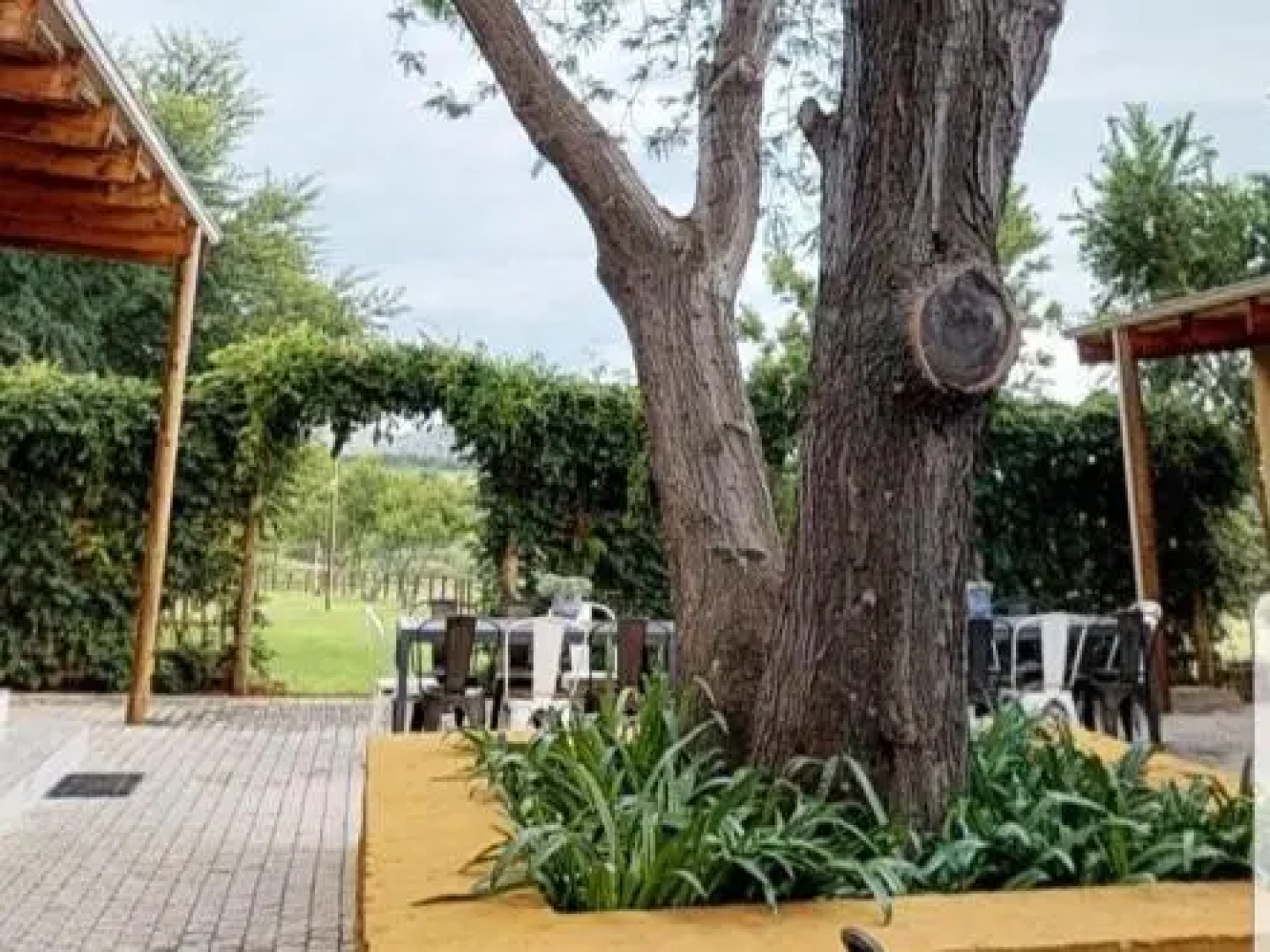 Cradle Valley Boutique Guesthouse