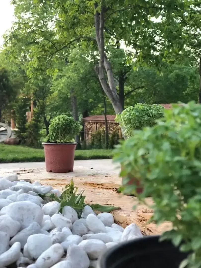 Omerbeyoglu Konak Boutique Hotel