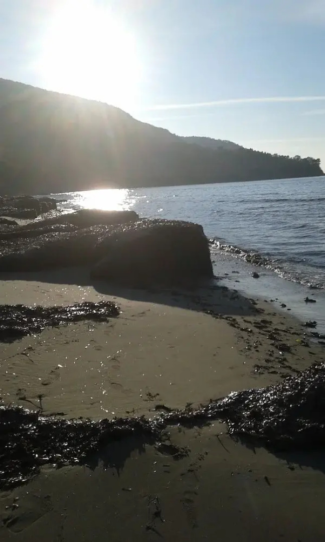 Il Patio Del Cilento