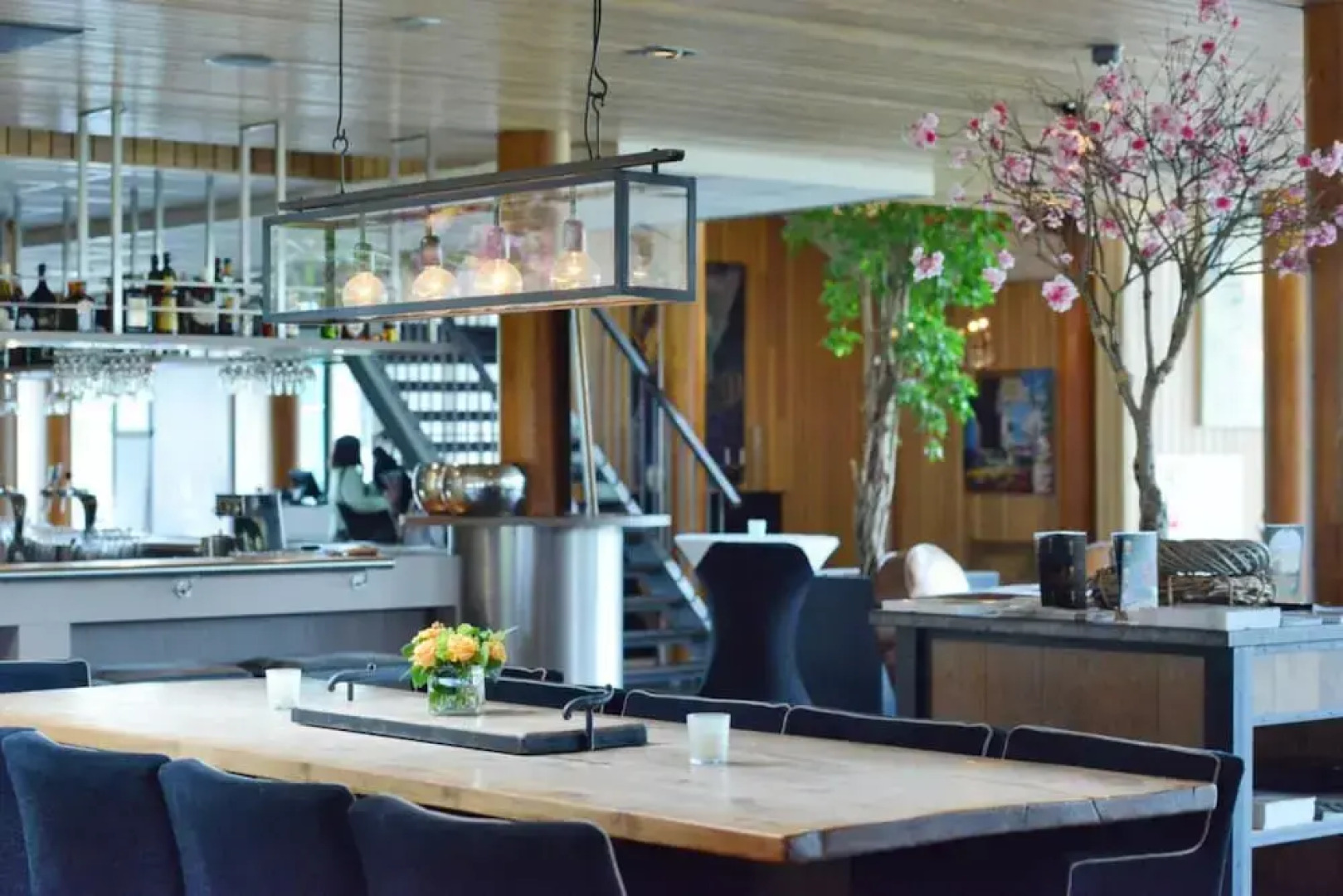 Albatros 12p in Oosterhout