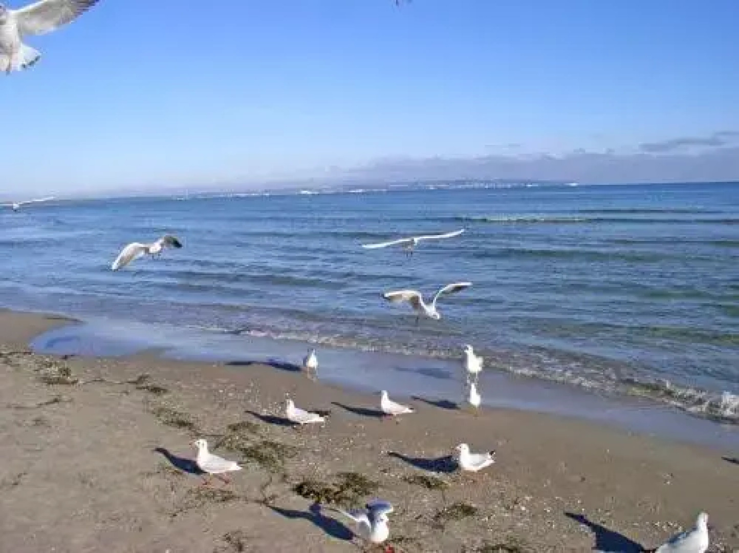 Ferienhaus Wiek RUeG 1541