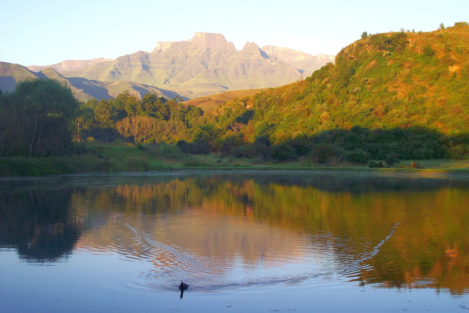 Dragon Peaks Mountain Resort