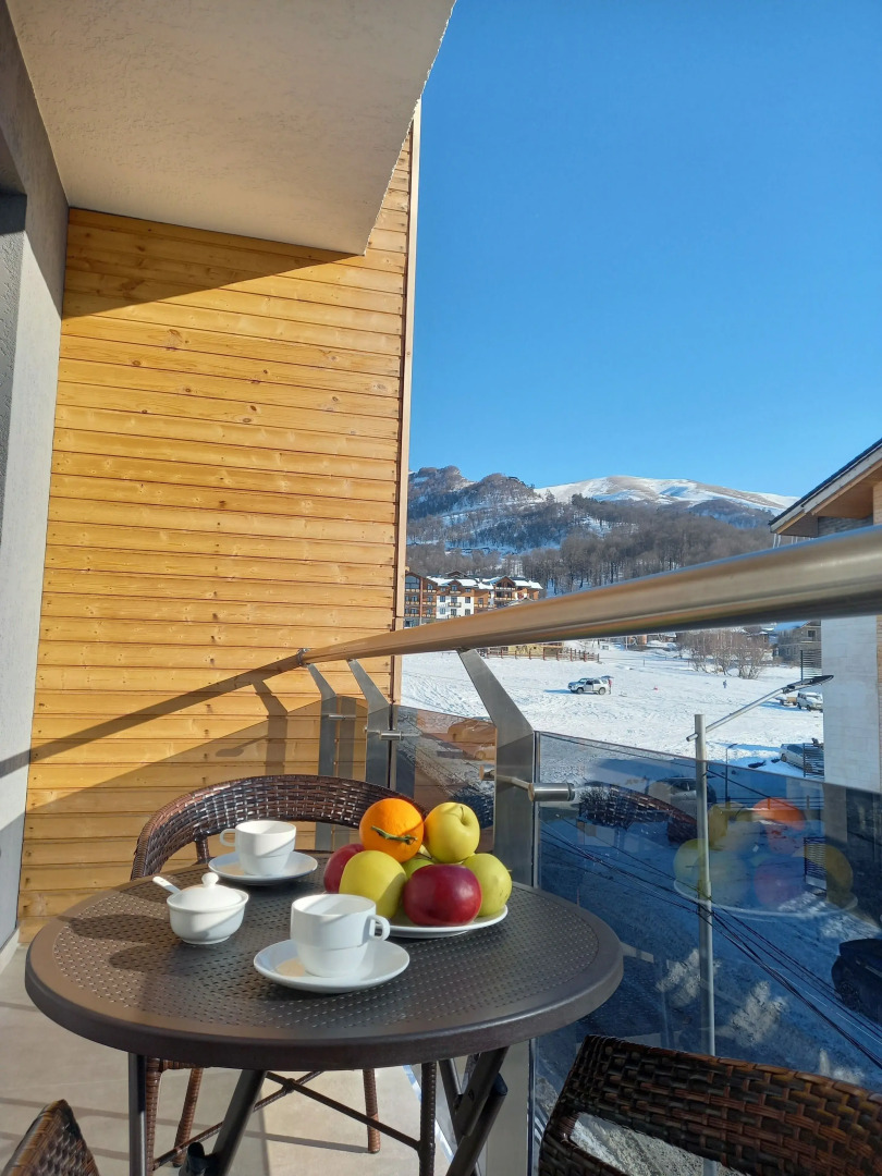 Bakuriani Crystal Loft 406