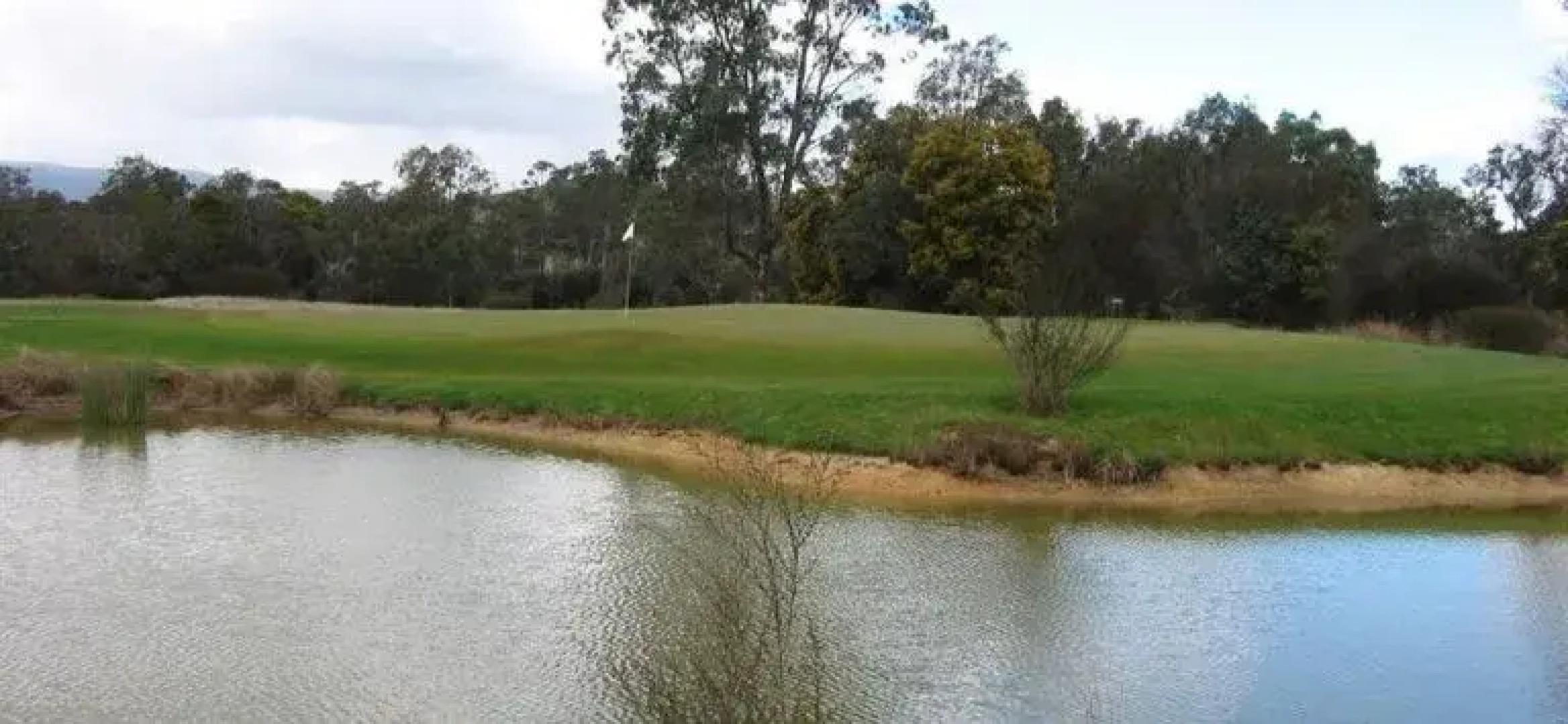 Stonelea Country Estate