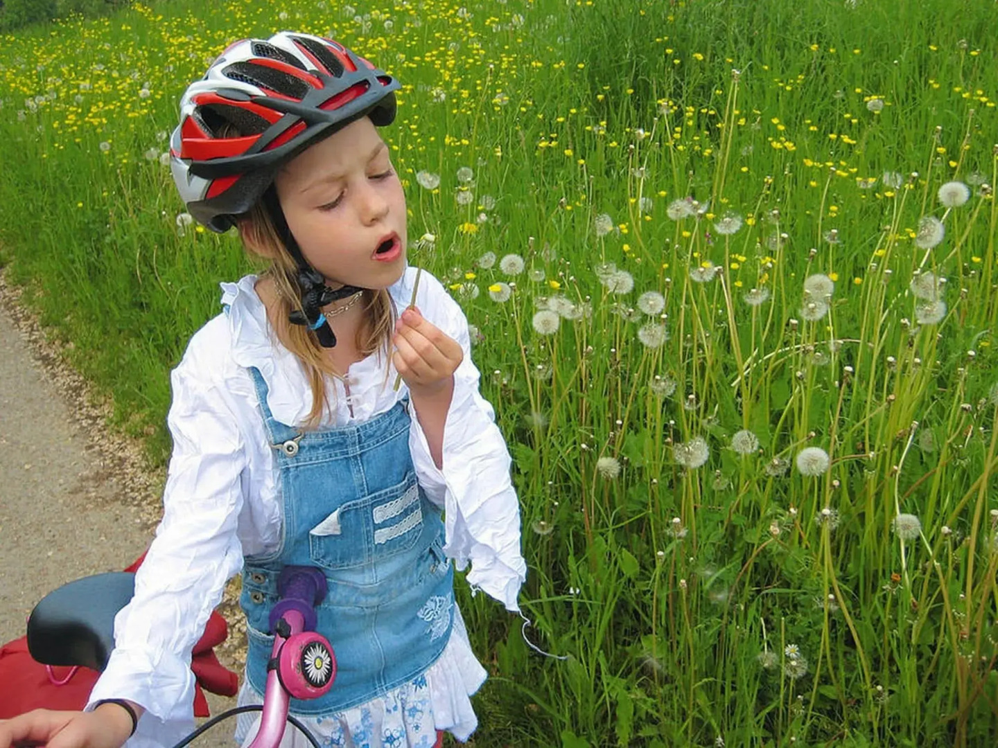 Holiday house, Golssen