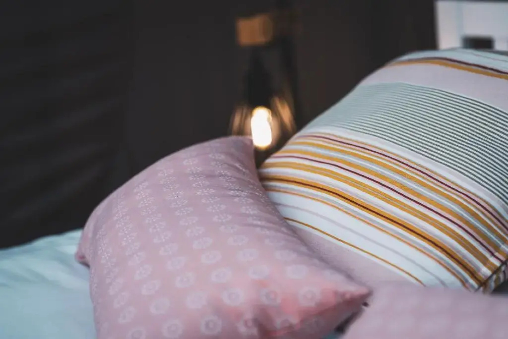 Reves2bulles (Adults Only)