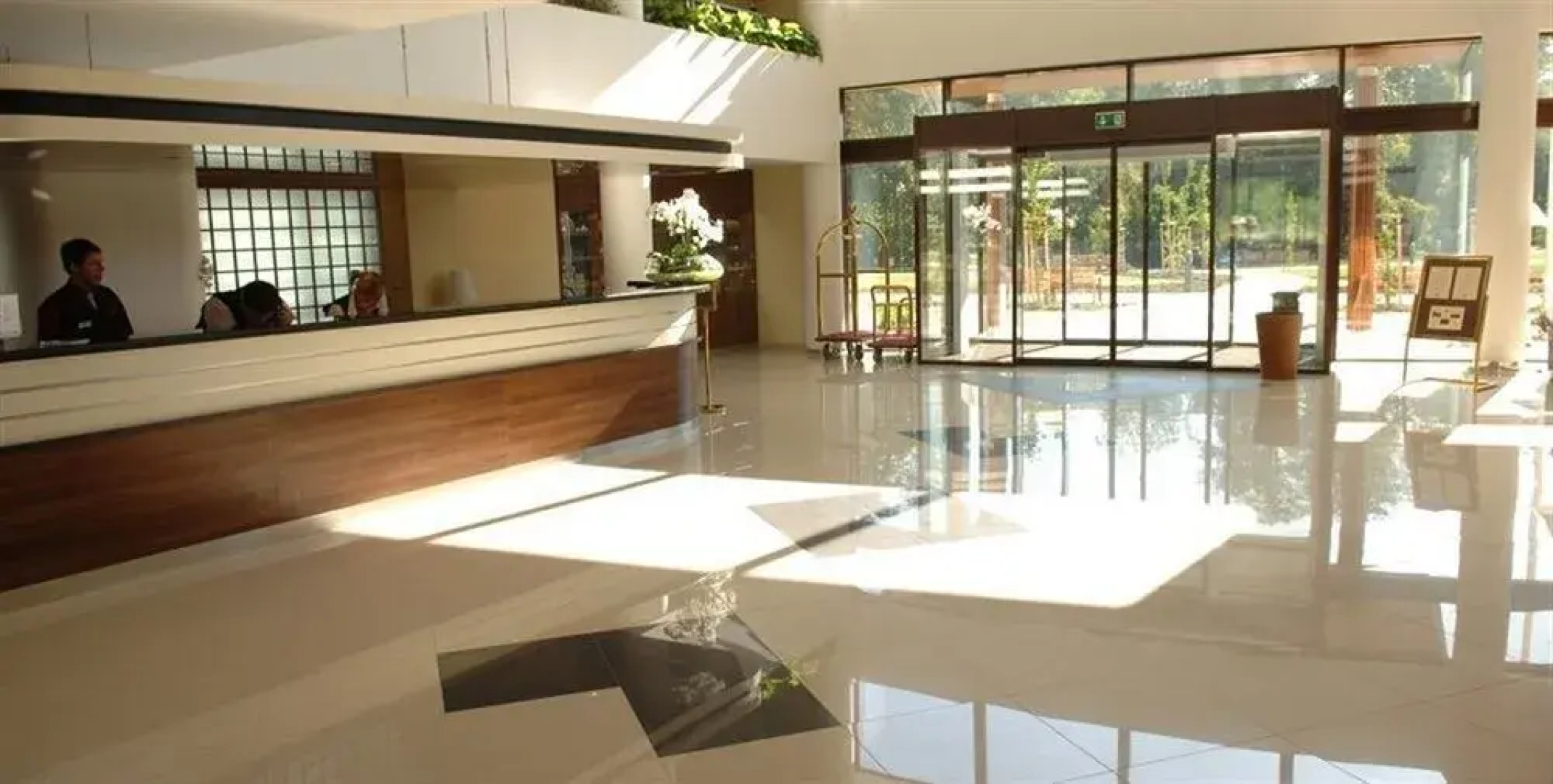 Spa Resort Tree of Life