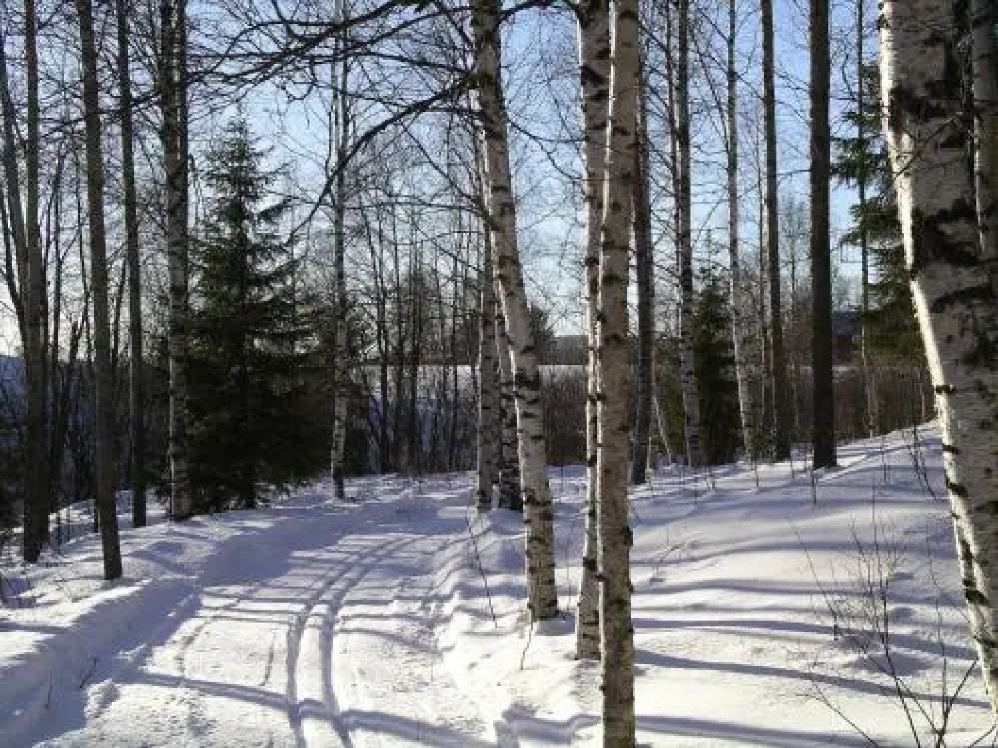 Wallhalla Bed & Breakfast