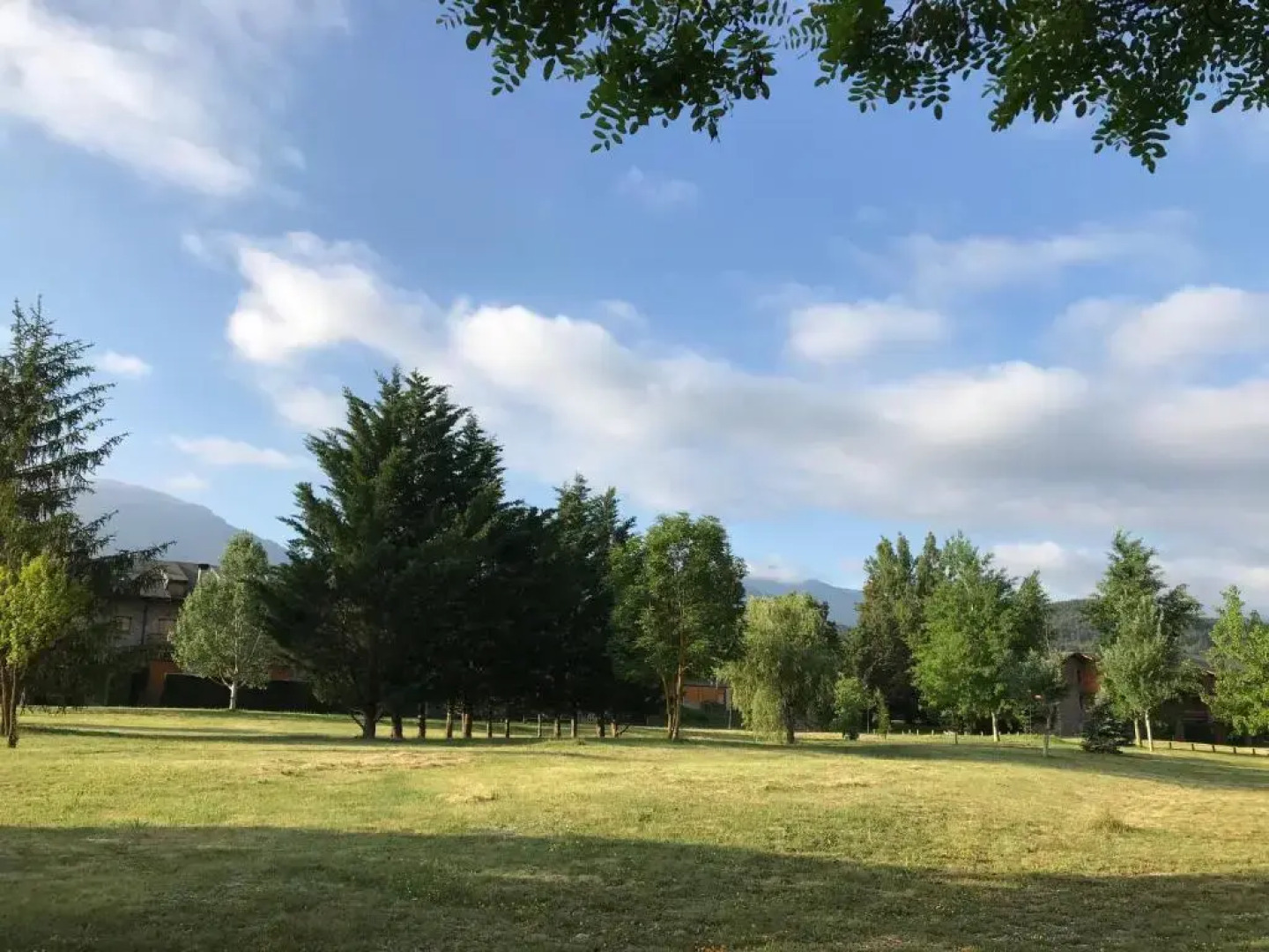 Apartament El Petit del Pla