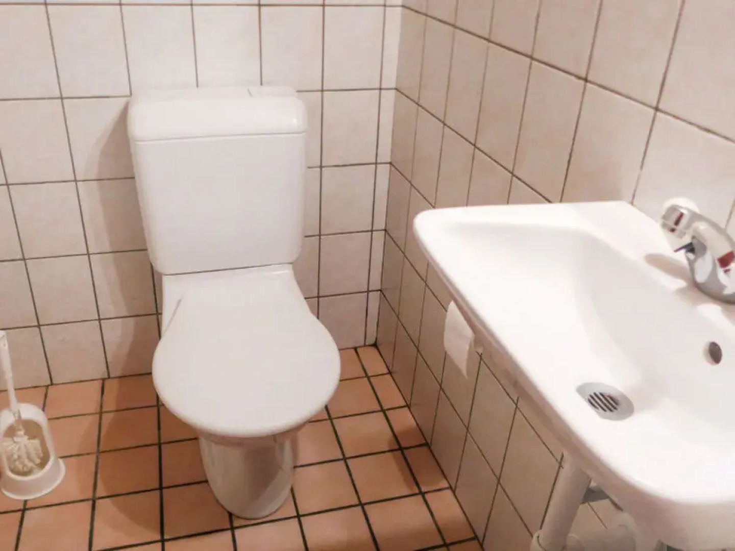 Chalet Anthamatten 24434