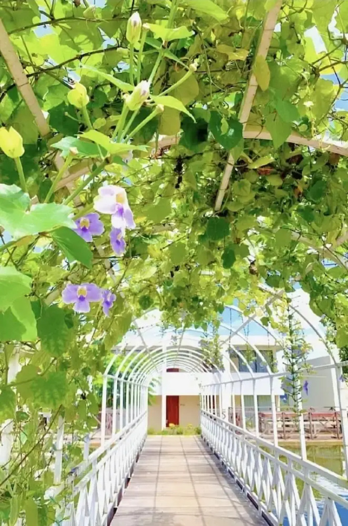 The Park Resort Mondulkiri