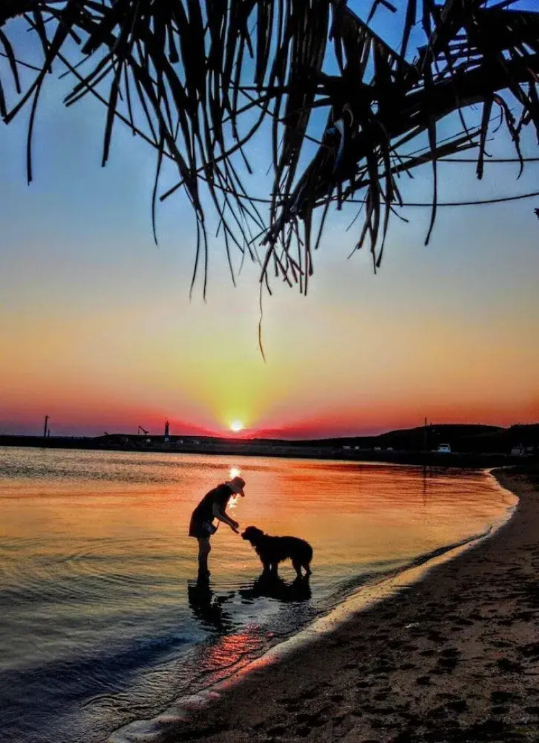 Migrator Intertidal Homestay