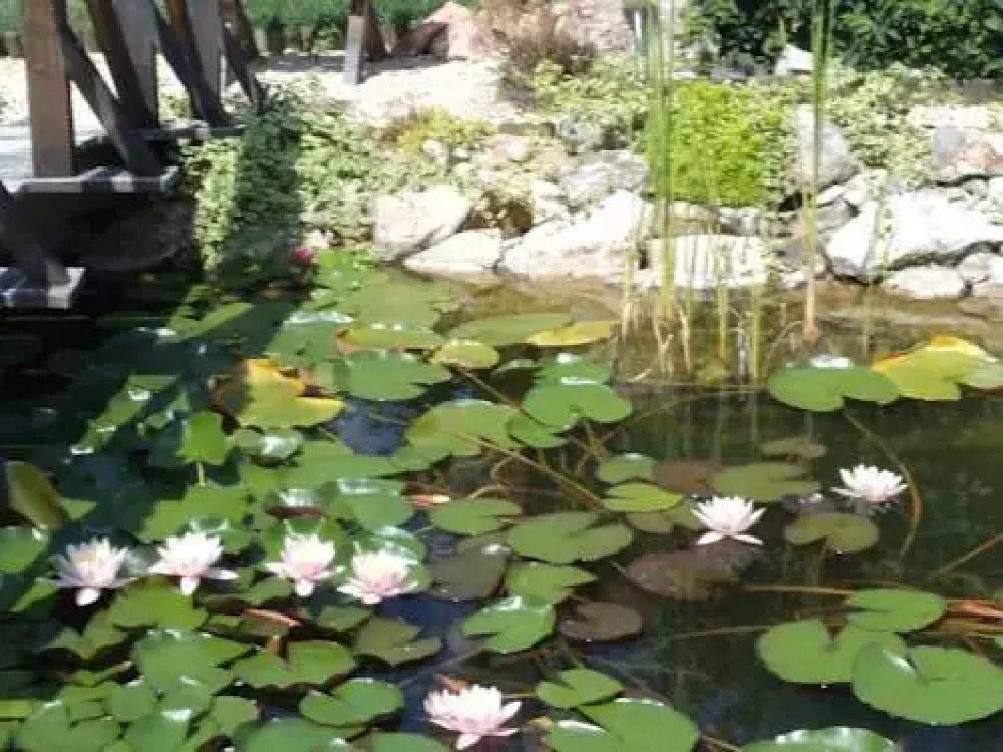 Kovács Apartman Harkány