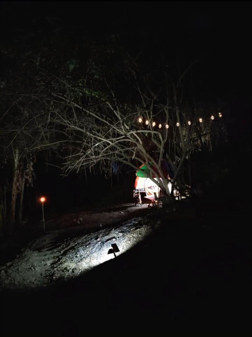 Singalong Nature Camphill Site
