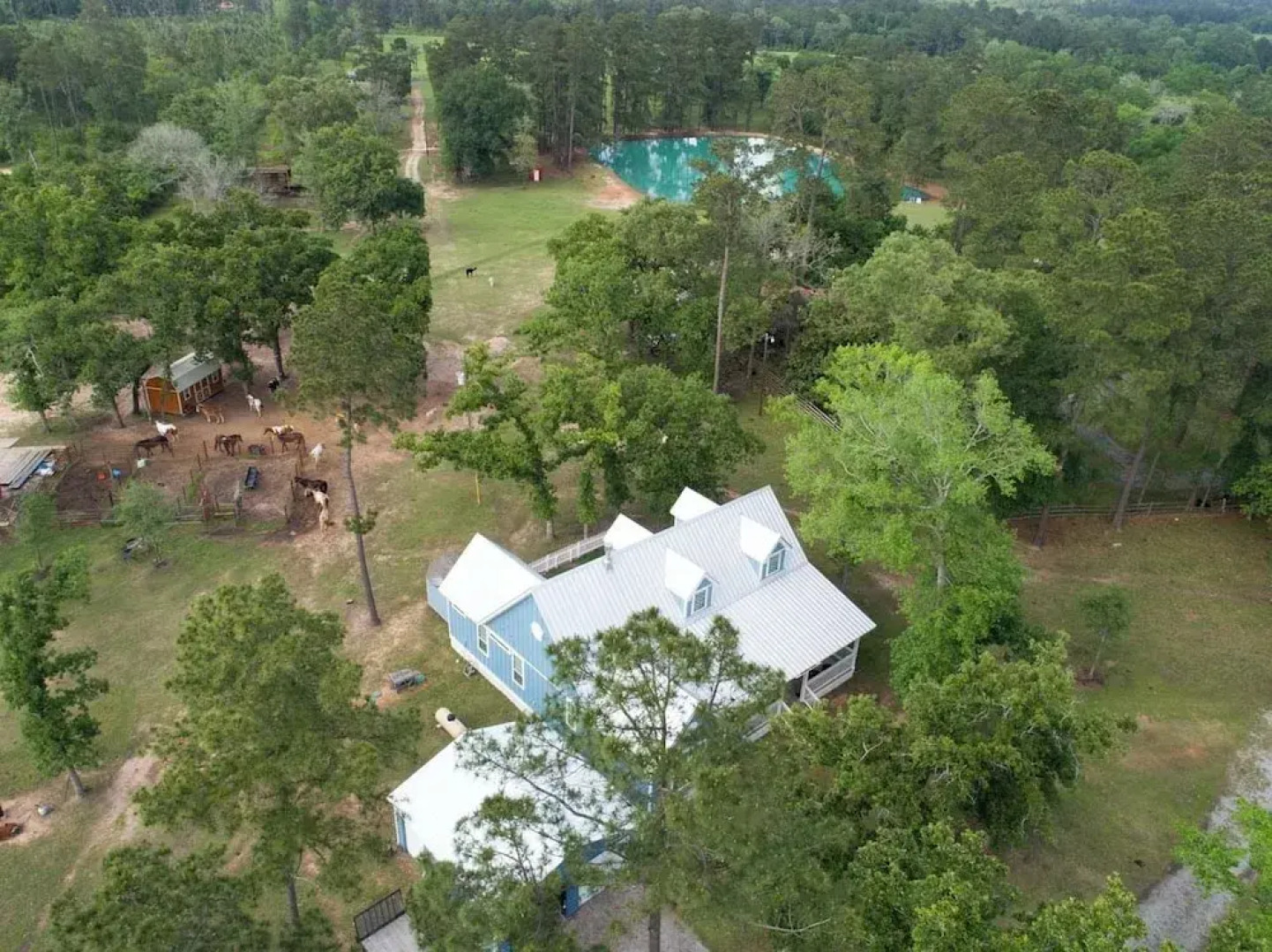 Plantersville Cabin on 50 Acres w/ Pond & Fire Pit