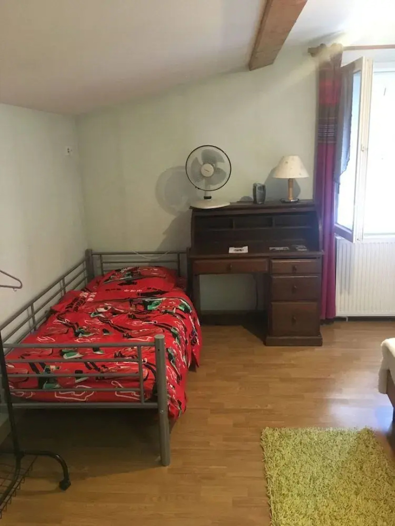 Le Palmyre Soleil de l'Amazonie