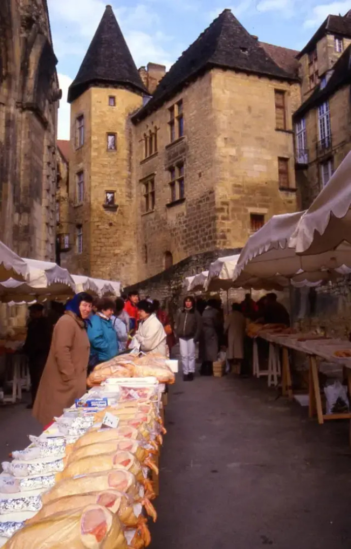 Villa With one Bedroom in Sarlat-la-canéda, With Private Pool, Enclose