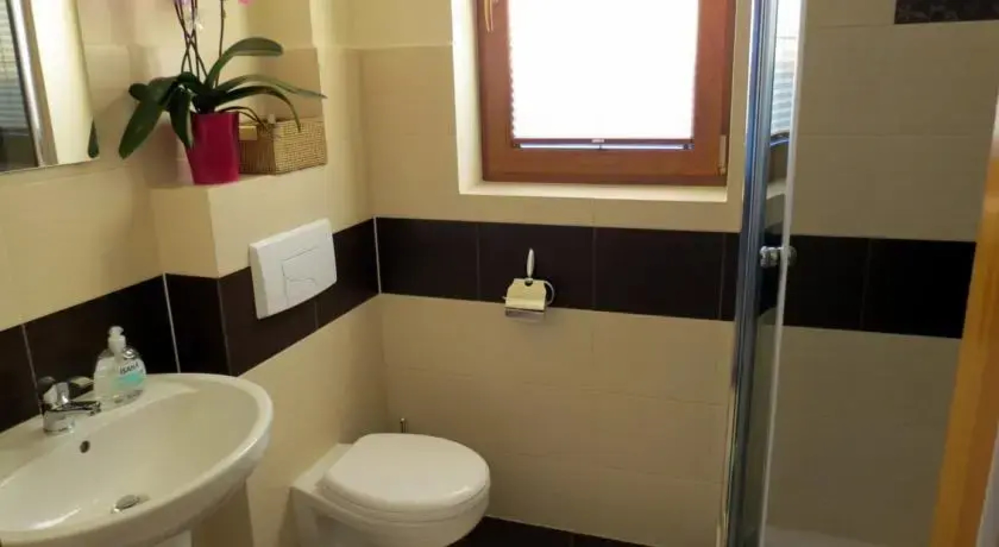 Domki-Apartamenty Trojaki przy Termach