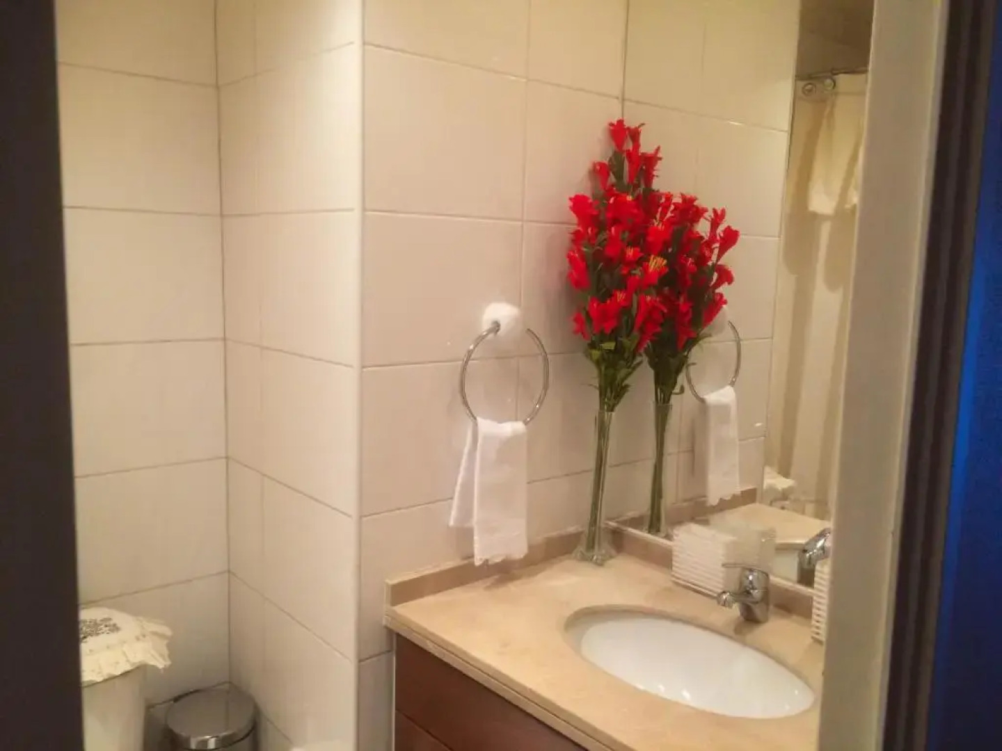 Depto Metro Santa Ana