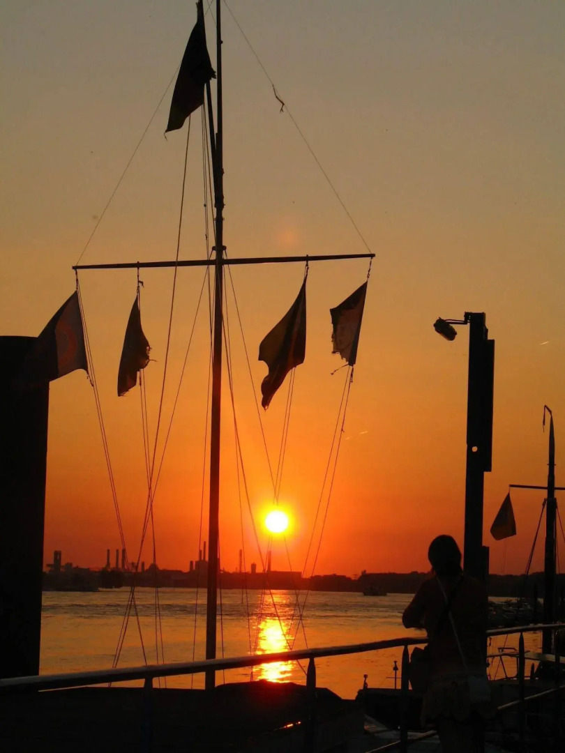 RheinRiver Guesthouse - Direkt am Rhein