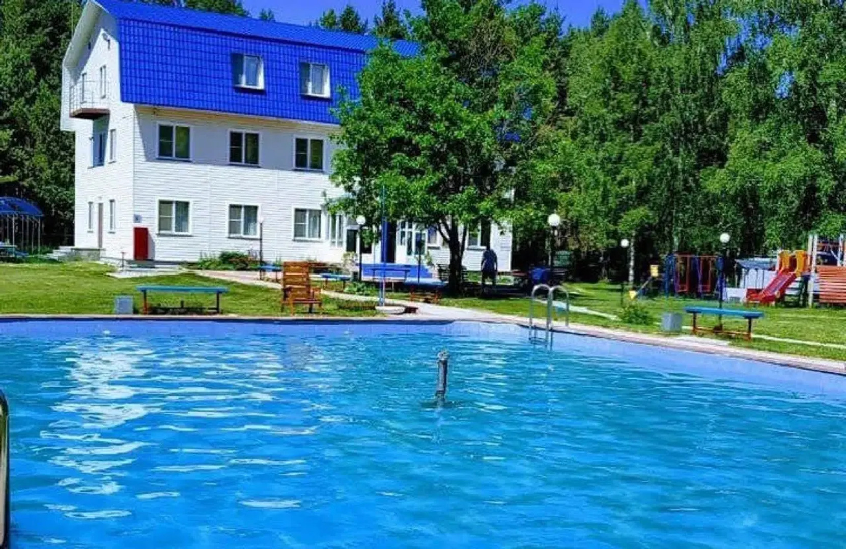 Зеленая поляна