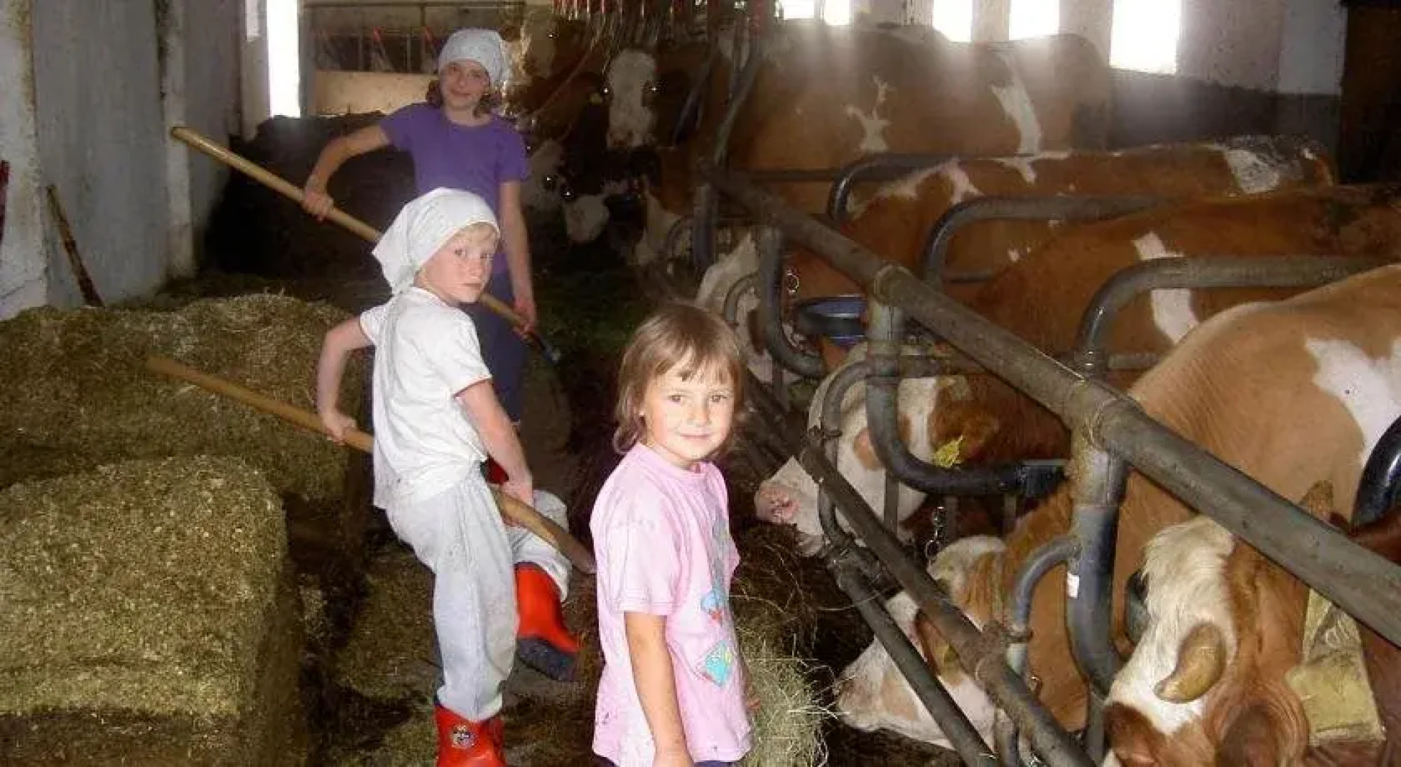 Urlaub am Bauernhof Wenigeder - Familie Klopf