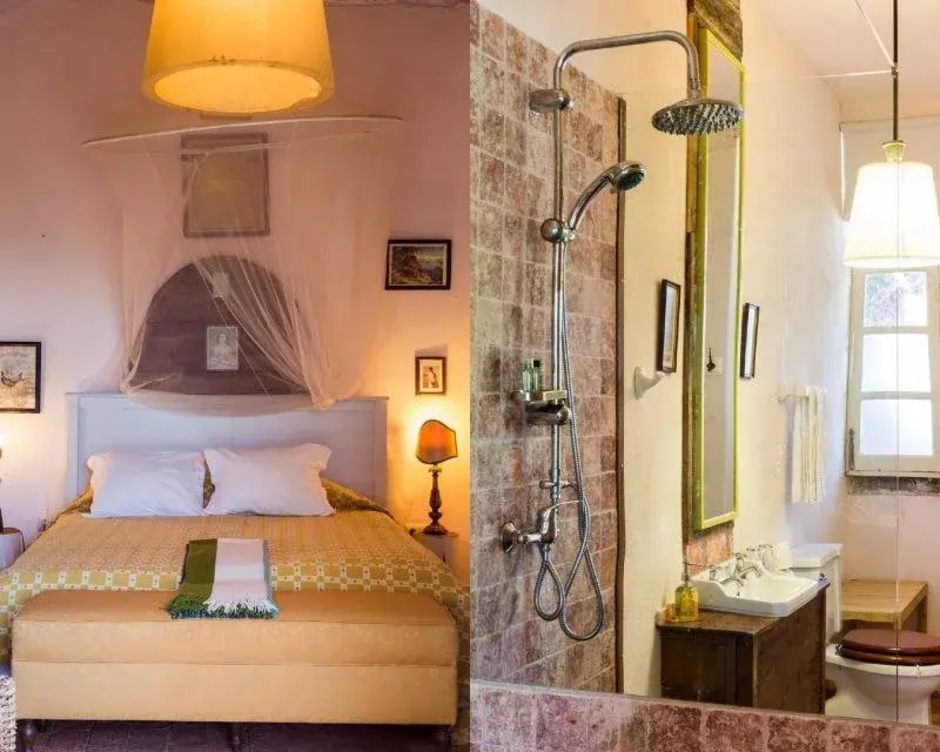 Uva do Monte - Blueberry Farm