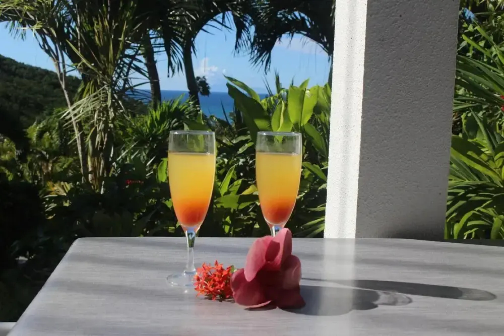 Villa prestige Caraïbes Bonheur