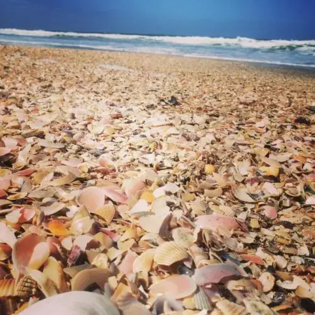 Recanto Rustico Itapoa