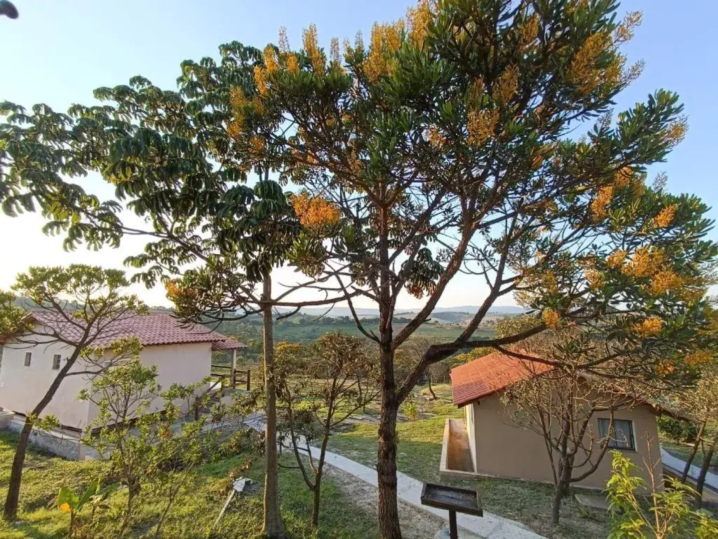 Toca Dos Coelhos Chales