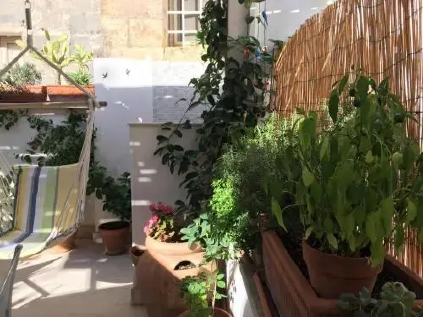Secret garden in the old town