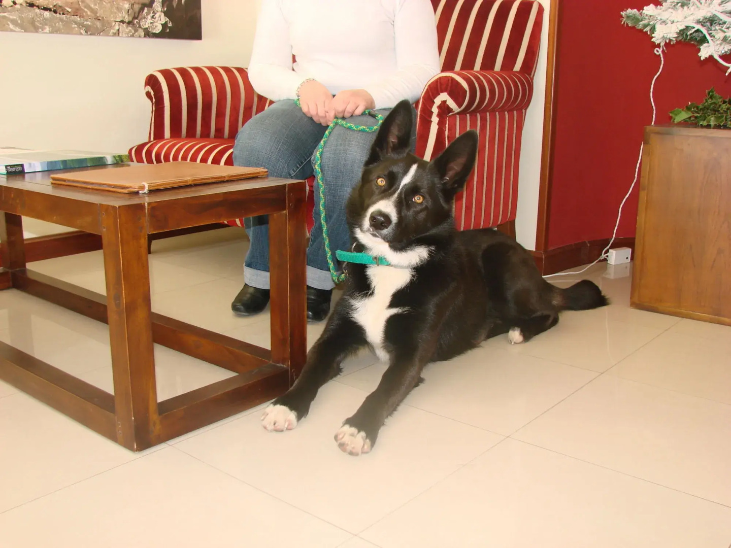 Hotel Bufón de Arenillas