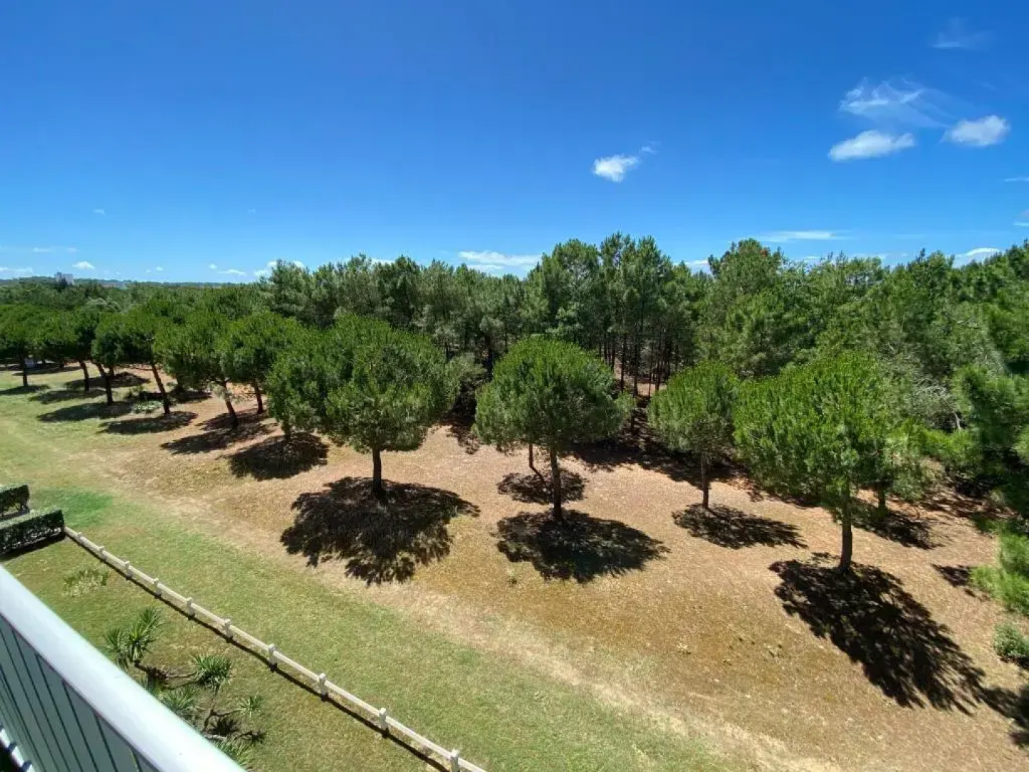 Appartement au bord de mer