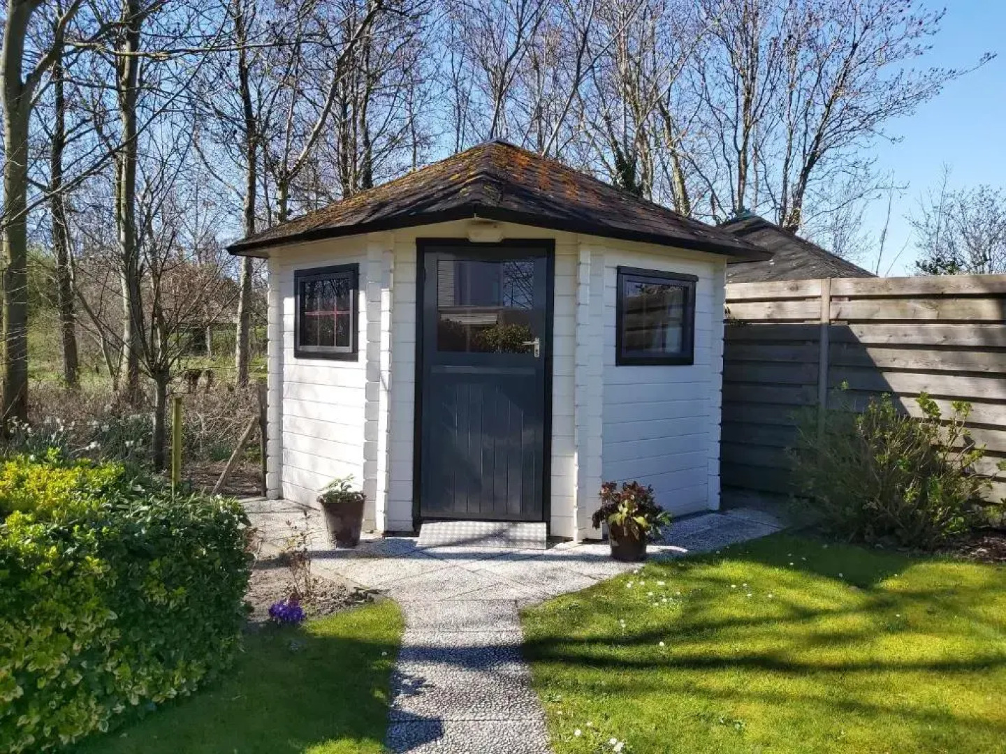 Klepperstee Esdoorn 3