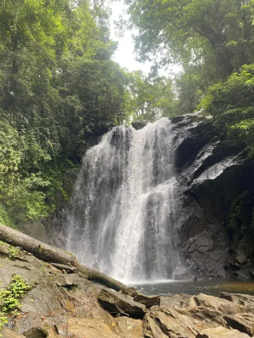 Sinharaja Serenity Retreat