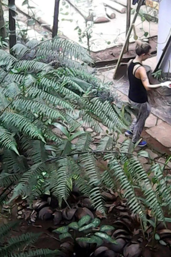 Rural Jungle Backpackers Hostel