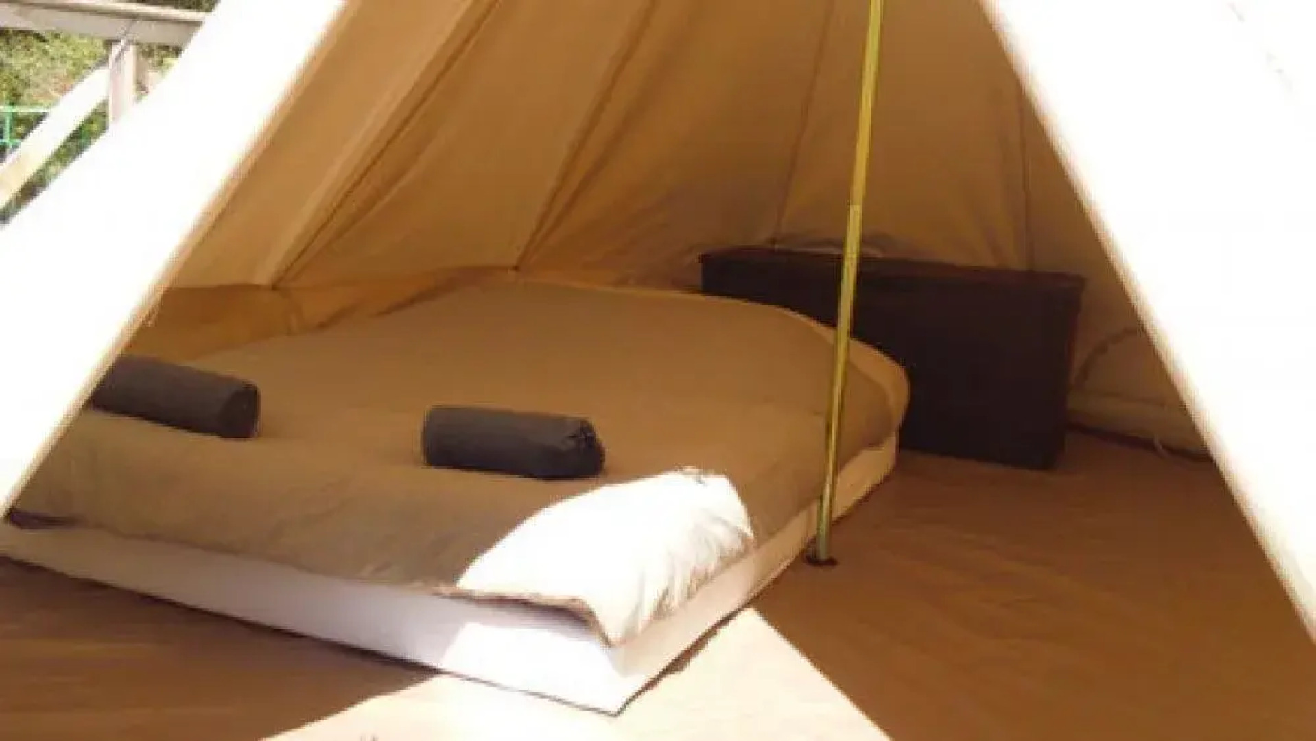 Les Insolites d'Eljie