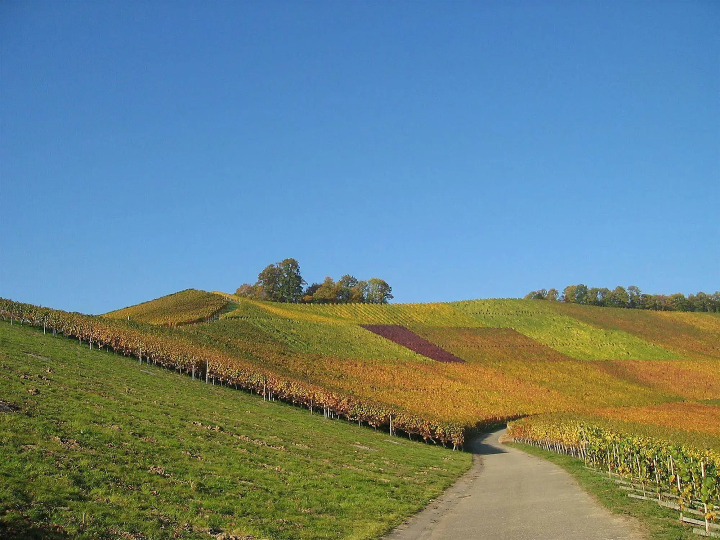 Pflugwirts Hotel und Gasthaus