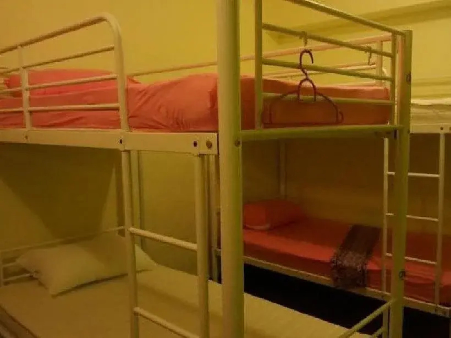Best Bunk Beds Lodge