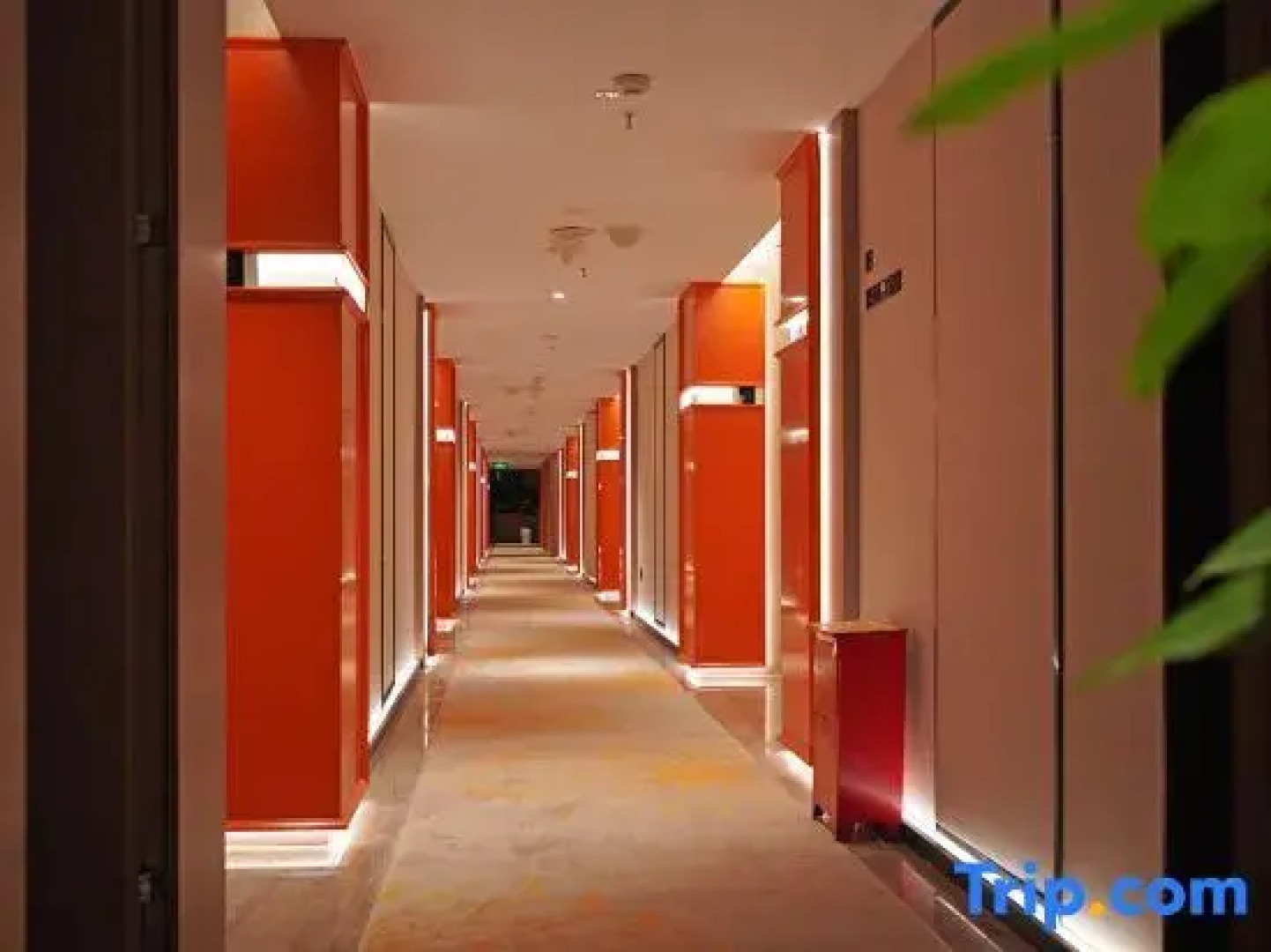 Zhaotong Purple Light Hotel