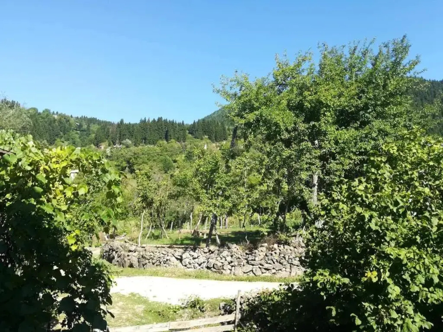 Txilaziri Guest House