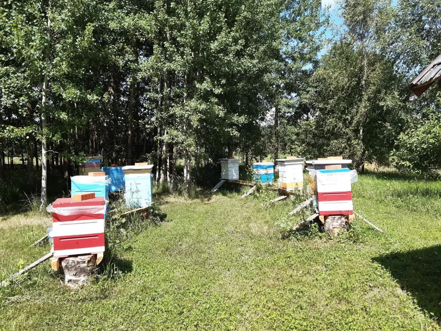 Дом в деревне Чернокуново