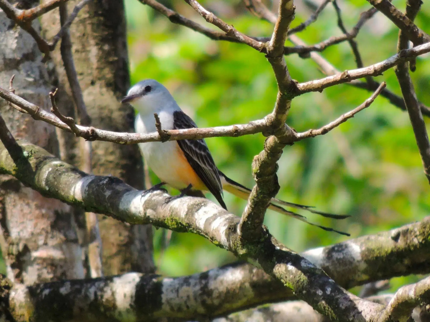 Trujillo Beach Eco-Resort