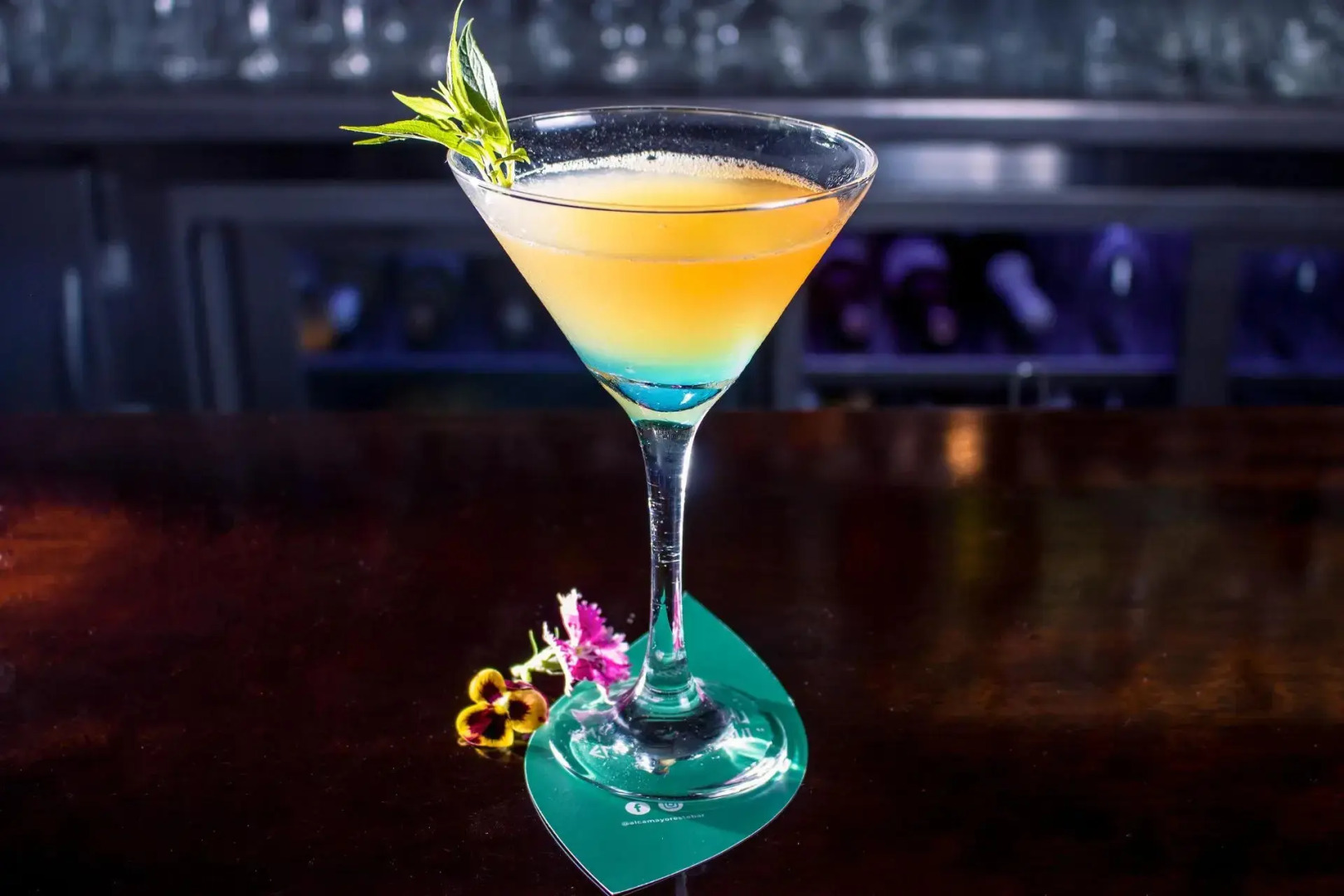 Gringo Bill's Boutique Hotel