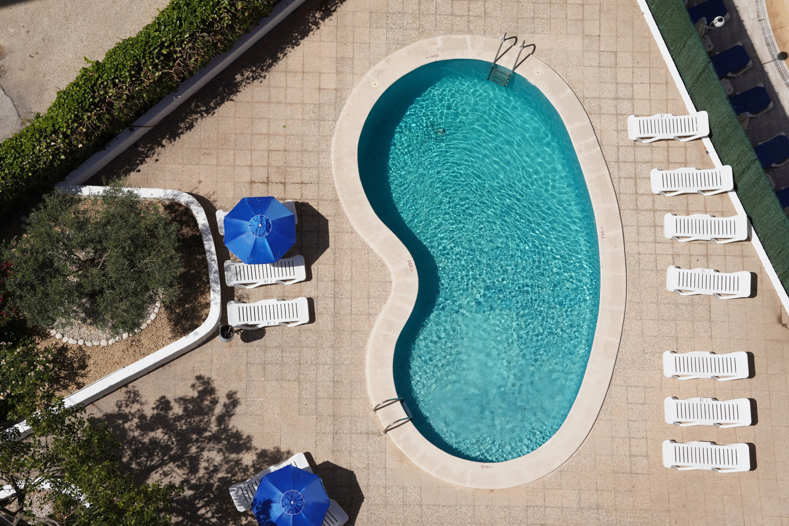 Apartamentos Don Gregorio