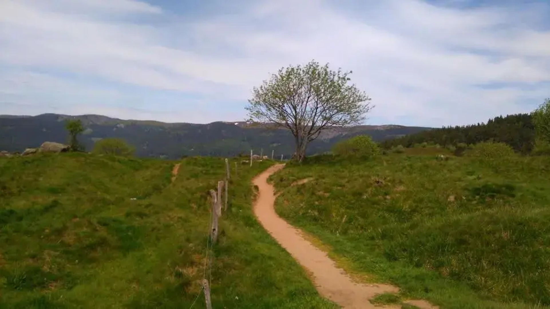 VVF Club Intense La Route des Vins d'Alsace Orbey