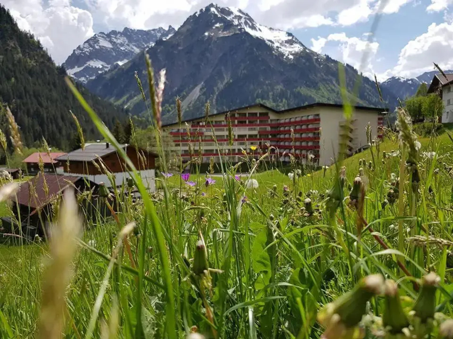 Appartement Bergahorn