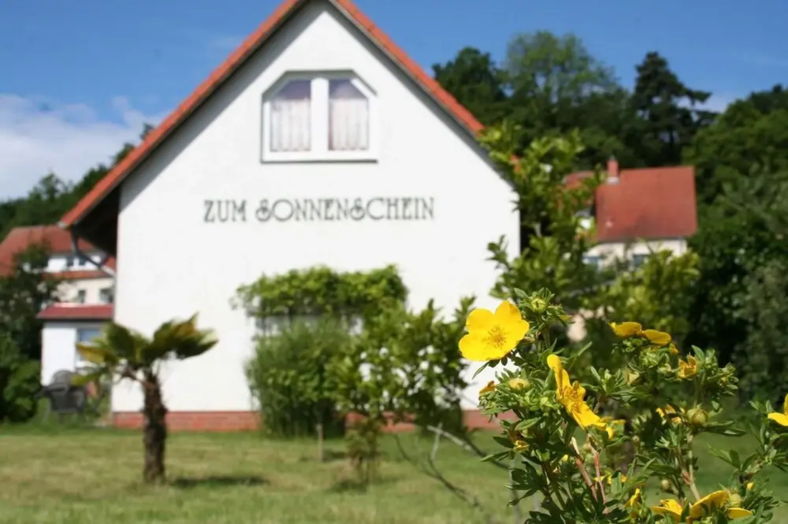 Zum Schlossgarten